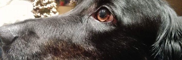 jordywey Profile Banner