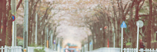 stellaxicious's profile banner image