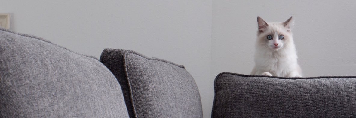 mmk_36's profile banner image