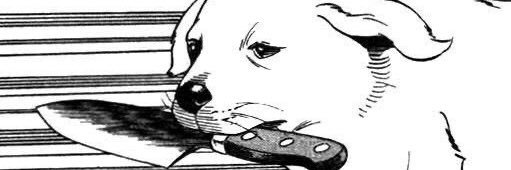 ktlchip's profile banner image