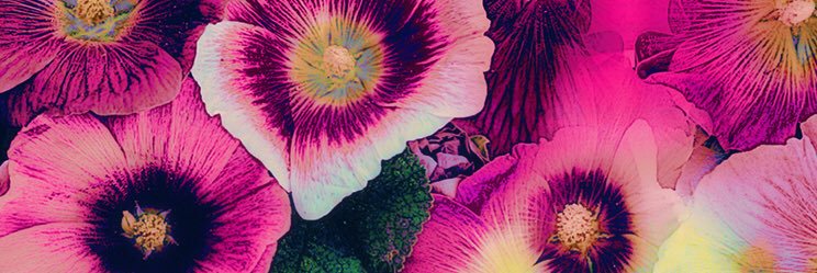 _ForChristAlone's profile banner image