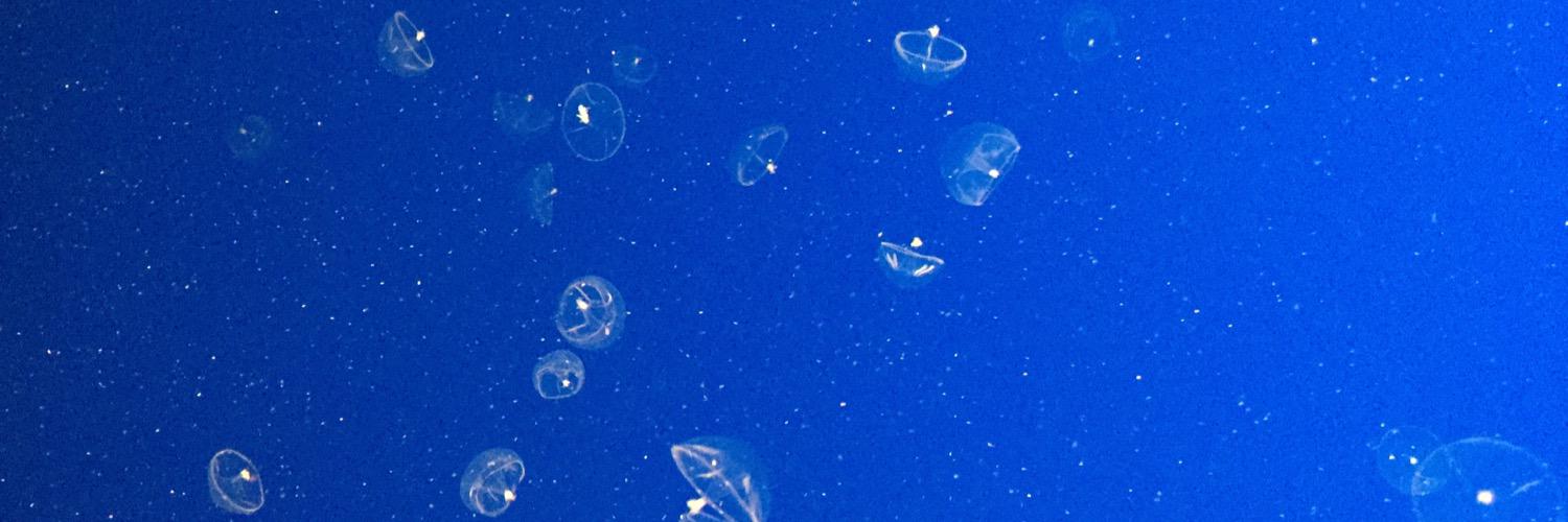 boomahtie's profile banner image