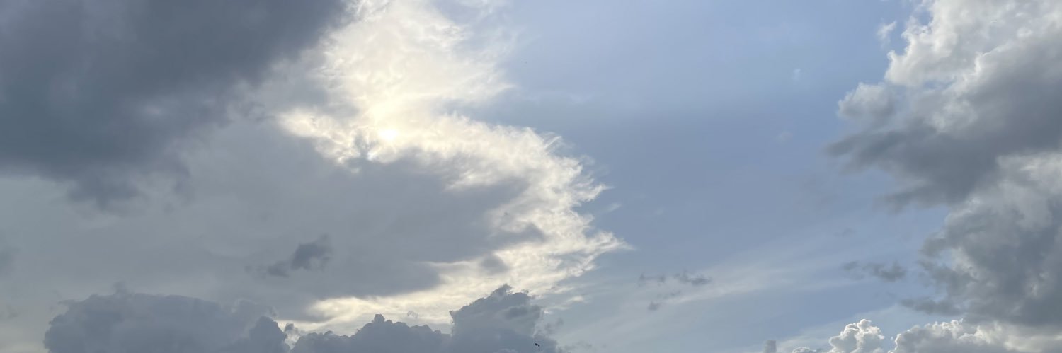 0xECS ⎊ banner