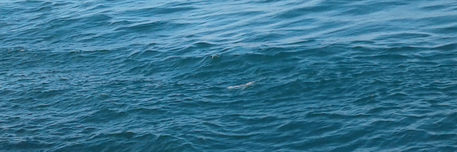 P_LifeChanging's profile banner image