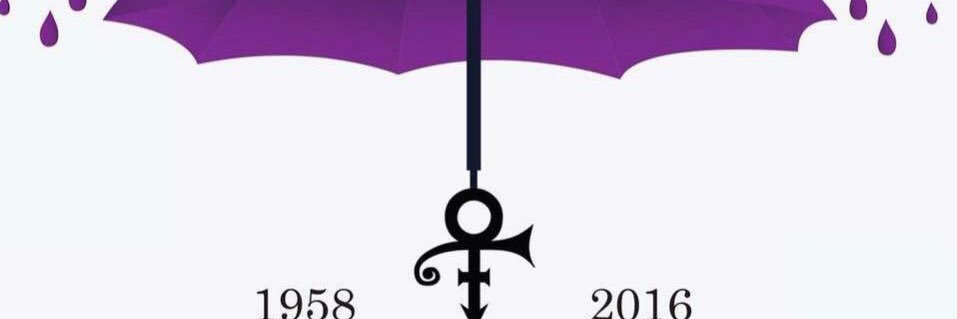 BShea3121's profile banner image