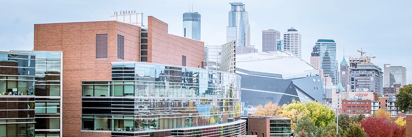 Carlson Undergrad banner