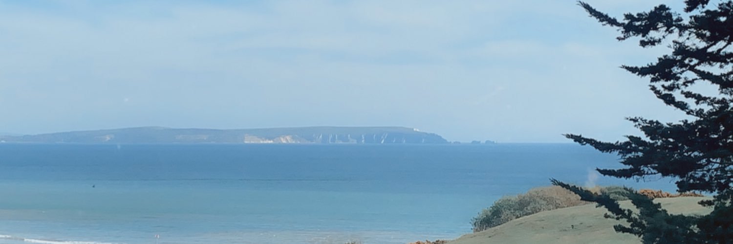 junegow's profile banner image