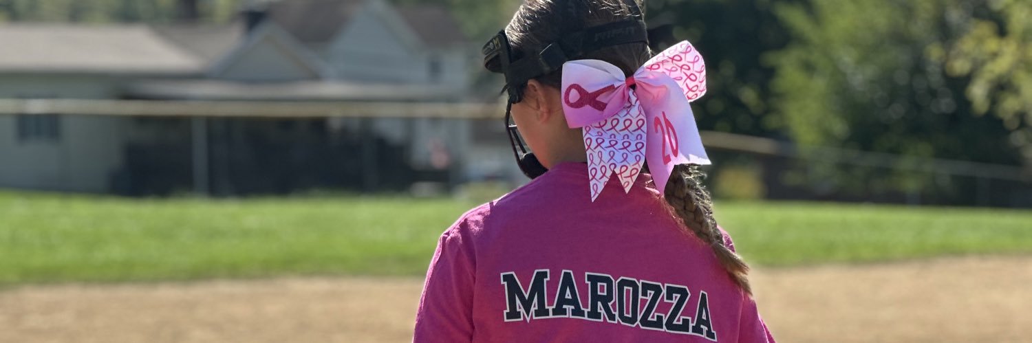 dmarozza's profile banner image