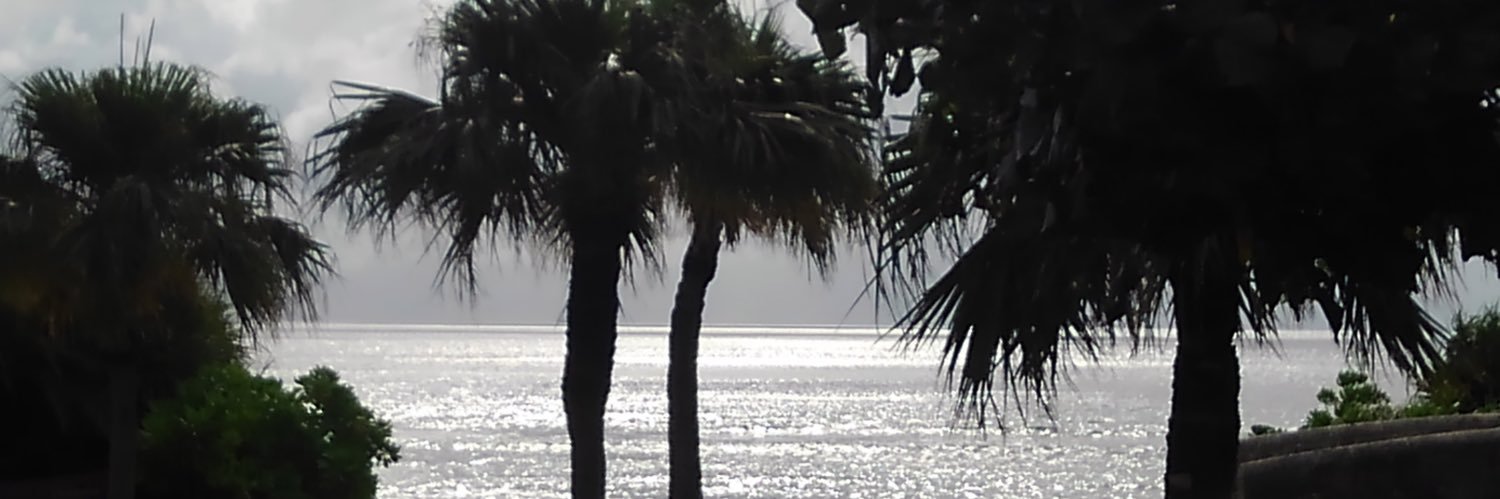 Br0Lc's profile banner image