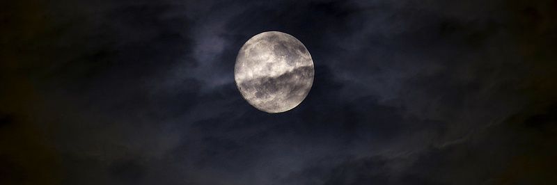 SadBunny01's profile banner image