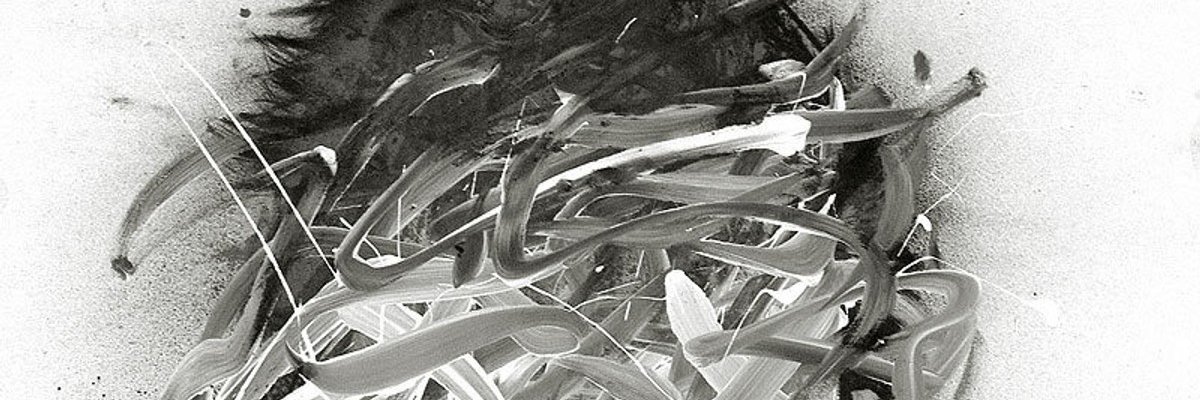 ehh_puy's profile banner image