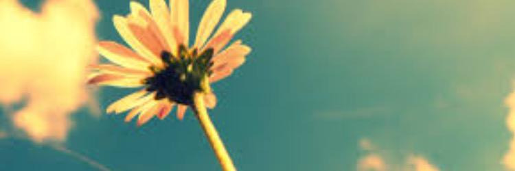maaaddds's profile banner image