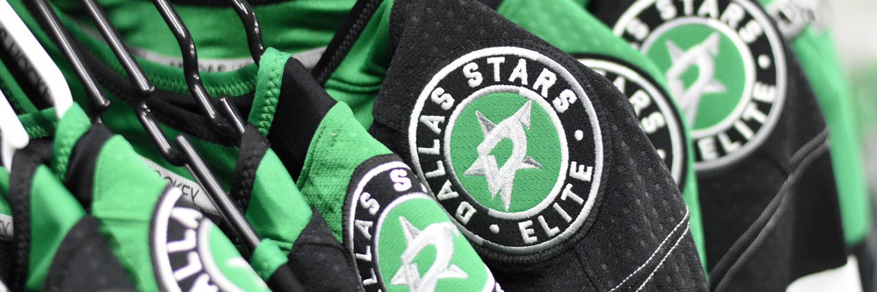 Dallas Stars Elite banner