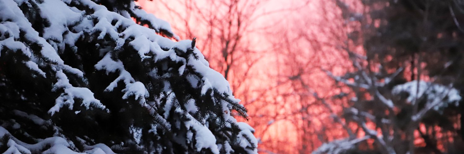 Christine Bren banner