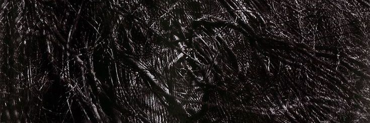 Berg banner