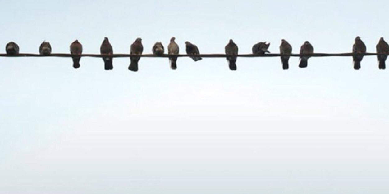 larksong11's profile banner image