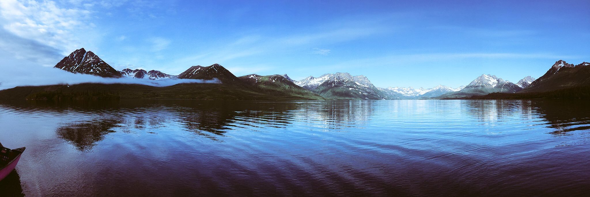 Dr. Steven Grabiner banner