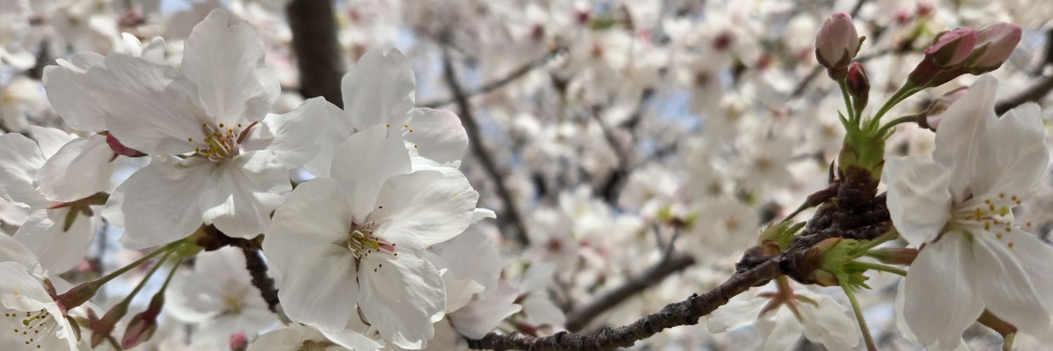秋茄子 banner