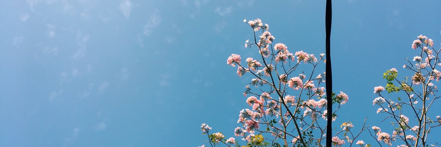 spncrfcvsco's profile banner image