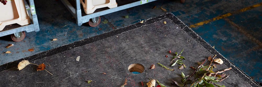 Black Dog Represents banner