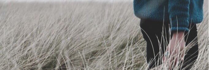 tree_ttk's profile banner image