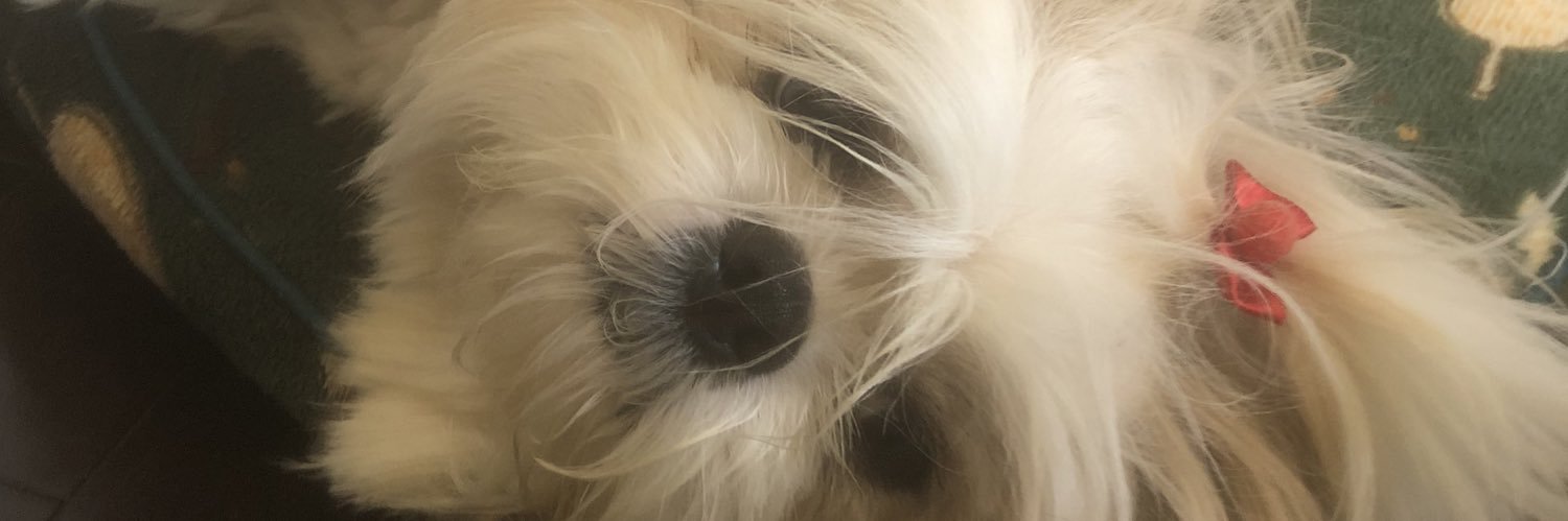 Di_jp1000's profile banner image