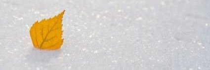 w6oooo7's profile banner image