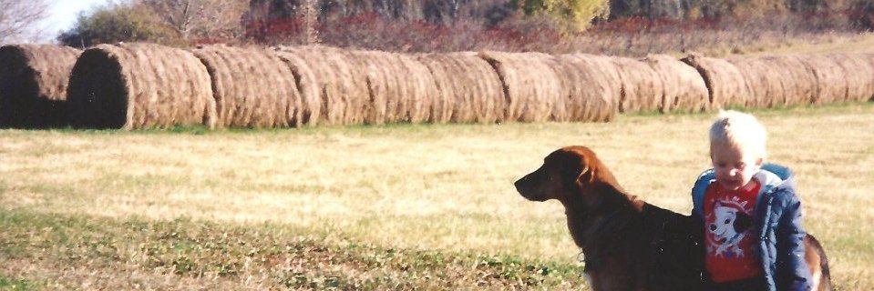 GMO banner