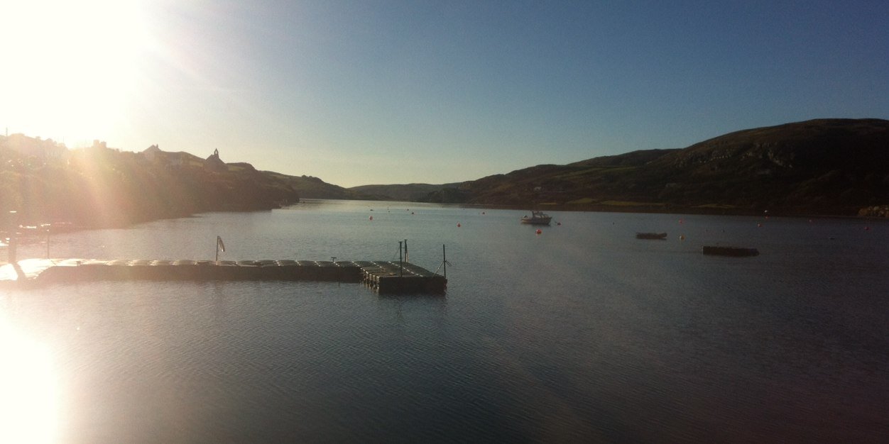 David Sheahan banner