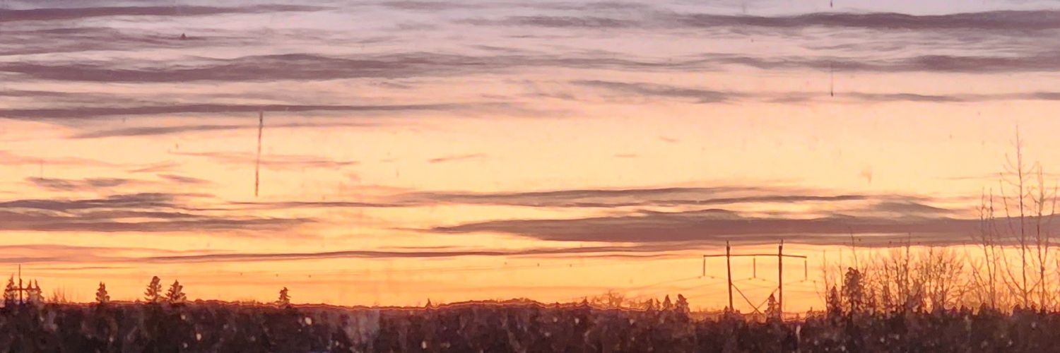 Meltedflatlevel's profile banner image