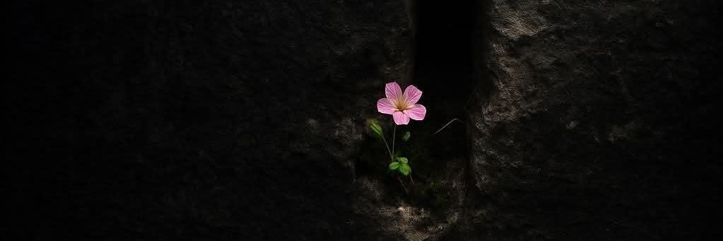 𓍼ོهٌـدى الـقحطاني banner