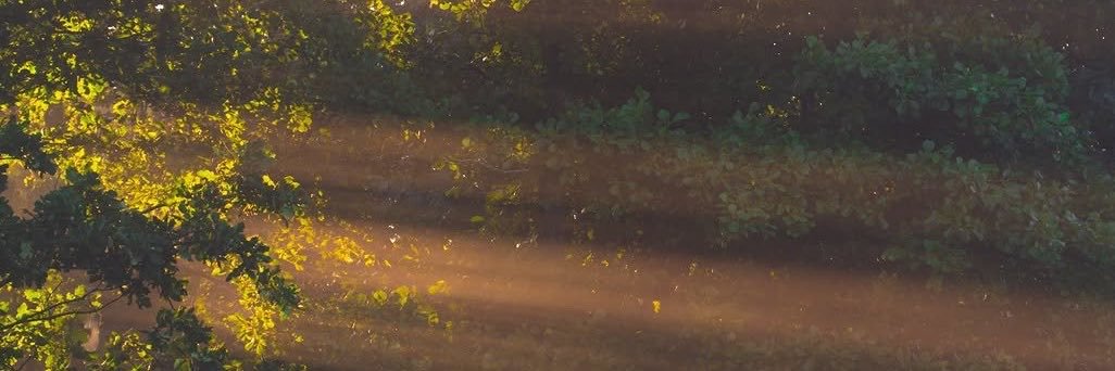 dood_1410's profile banner image