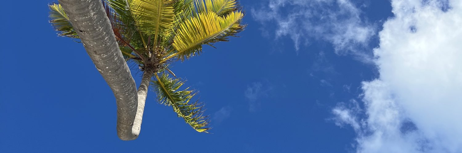 stephdezc's profile banner image