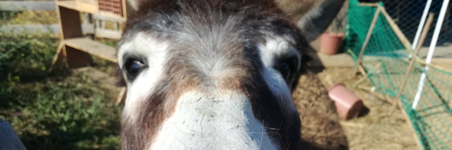 joilguy's profile banner image