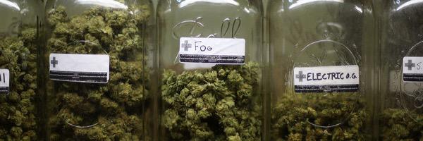 PotPornv's profile banner image