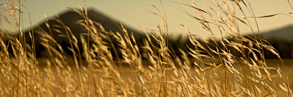 MattTornero423's profile banner image