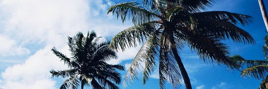 sofghaaaa's profile banner image