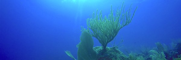 momsgot2run Profile Banner