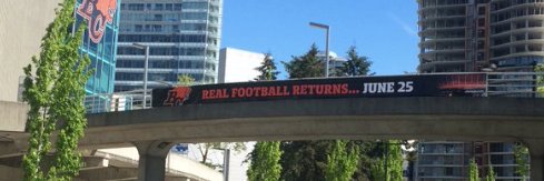 Roar Report banner
