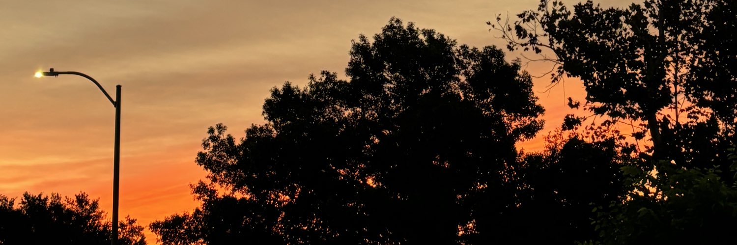 JasmineTenorio's profile banner image