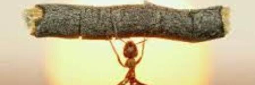 CuriousBoipelo's profile banner image
