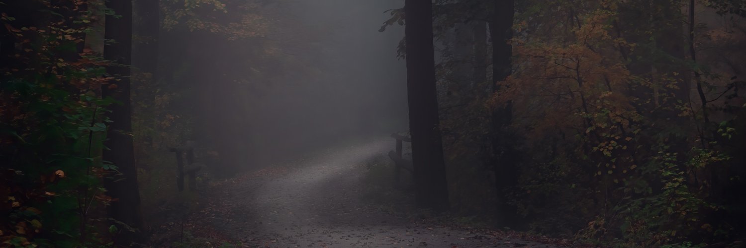 andreaewalker's profile banner image