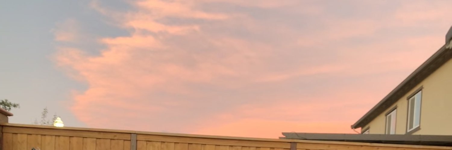 emlew_'s profile banner image