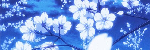 v_bandida's profile banner image