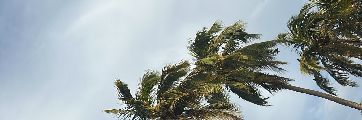 TGSdenise's profile banner image