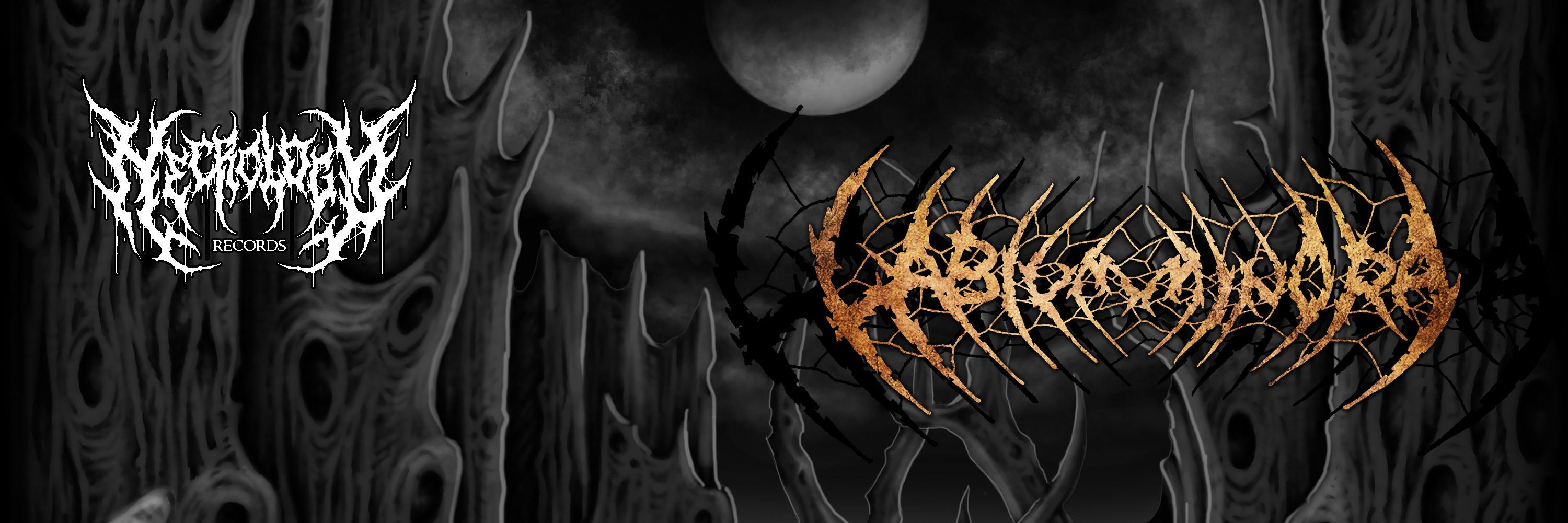 Labium Minora banner