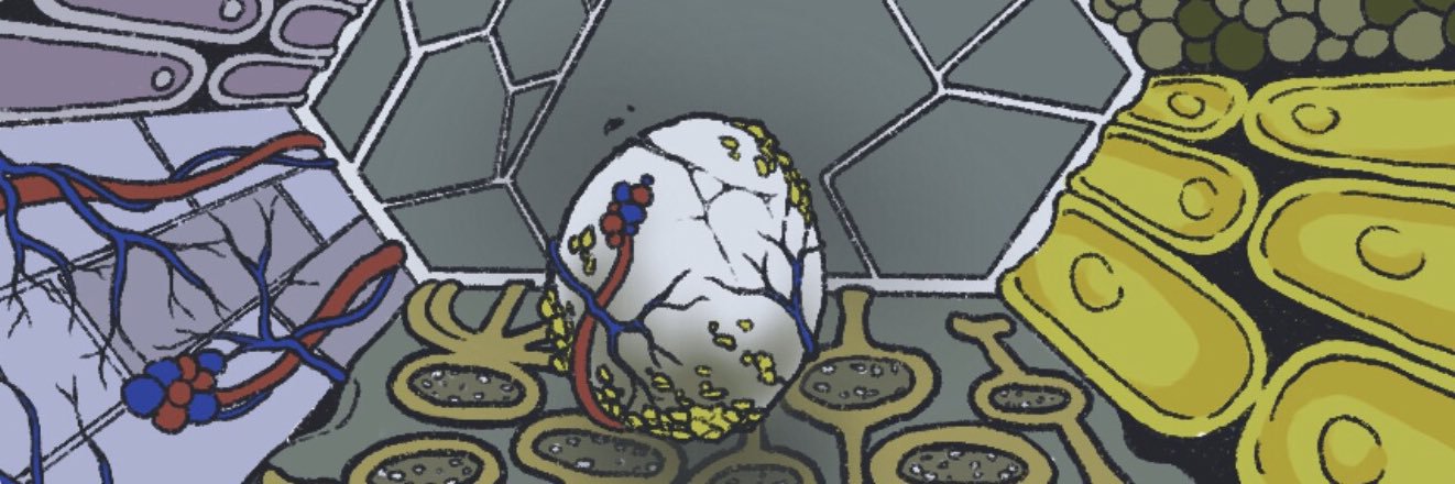zuberubar's profile banner image