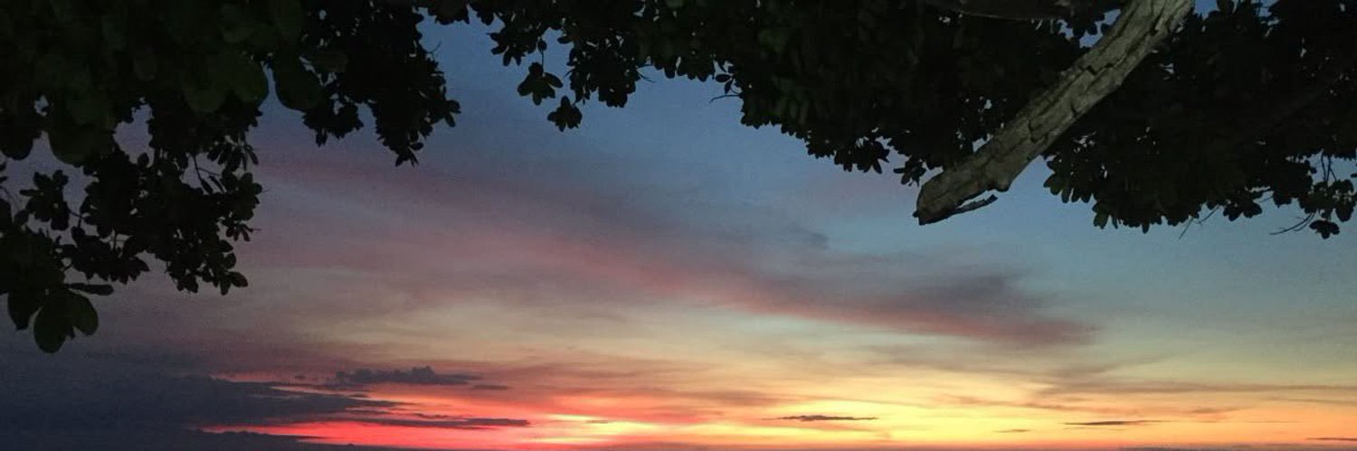 bii0_7's profile banner image
