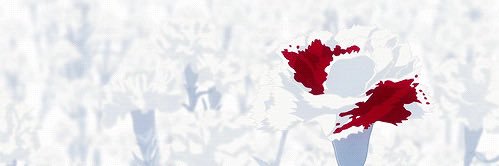 ɮօռռɨɛ banner