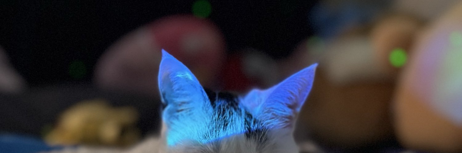 buhNiful's profile banner image